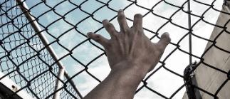 Суд апелляционной инстанции освободил клиента адвоката Семенова Р.М. от отбывания наказания